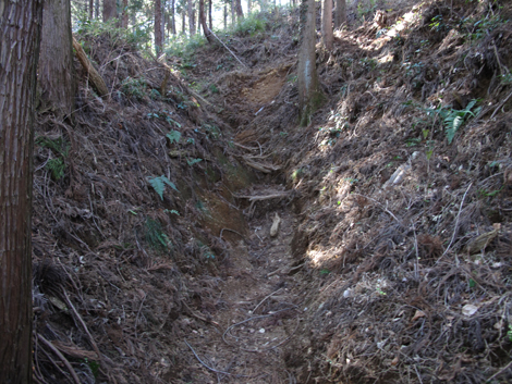 20160128hike (24)
